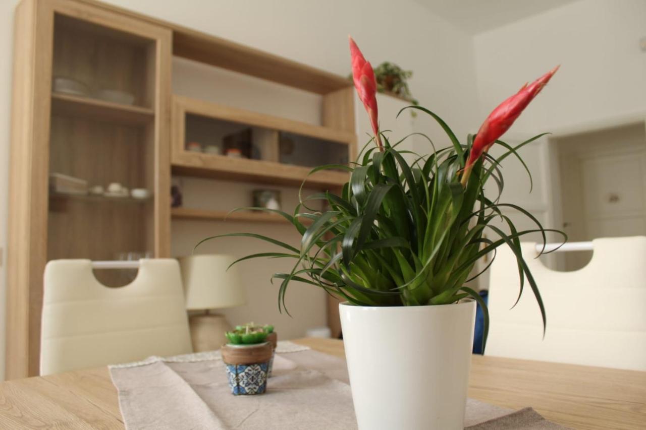 Ohana: Casa Nel Centro Di Lecce Exterior foto